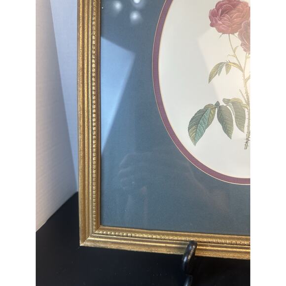 Botanical Framed Picture Classic Decor 13x15 Antique Gold Frame - Picture 5 of 9